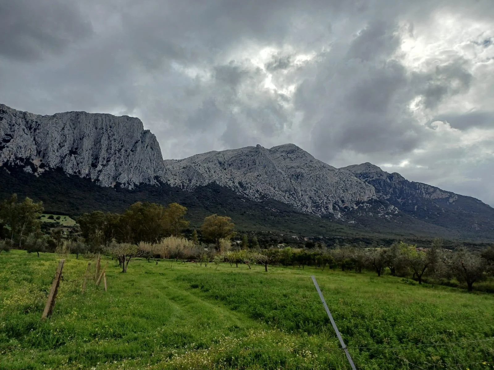 Progetto Caminadores