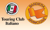 logo bandiera arancio