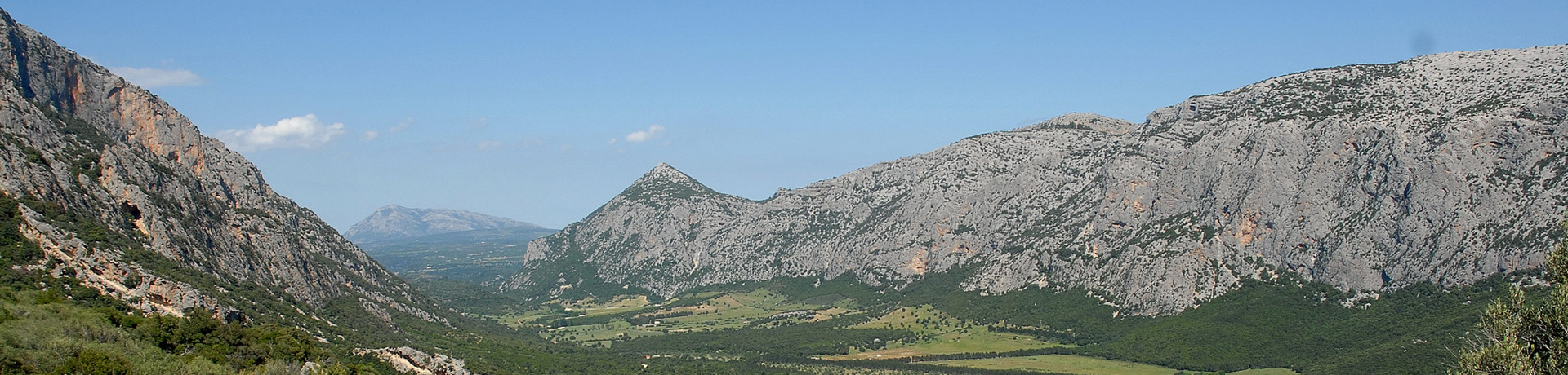 IL PAESE