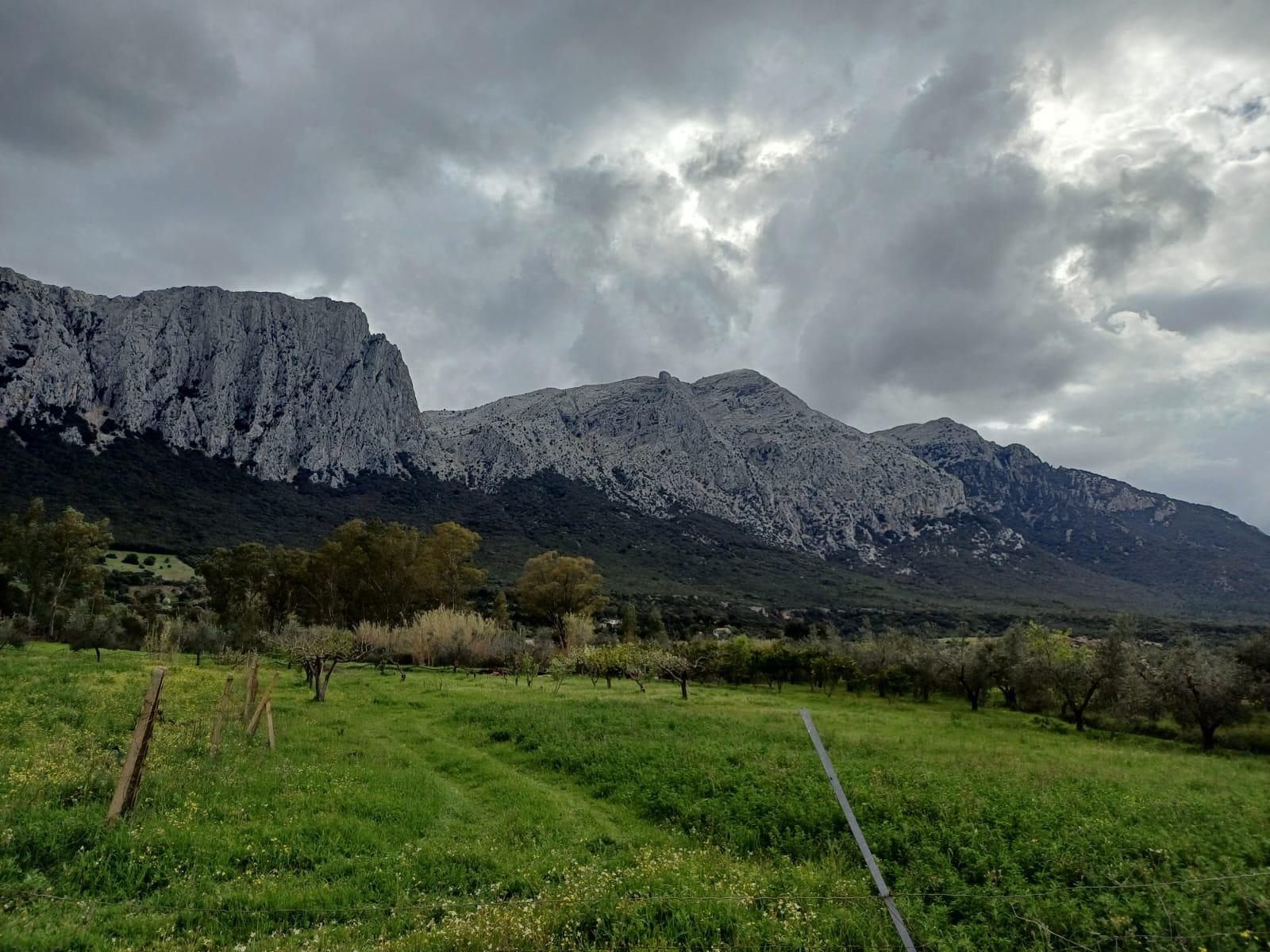 Progetto Caminadores